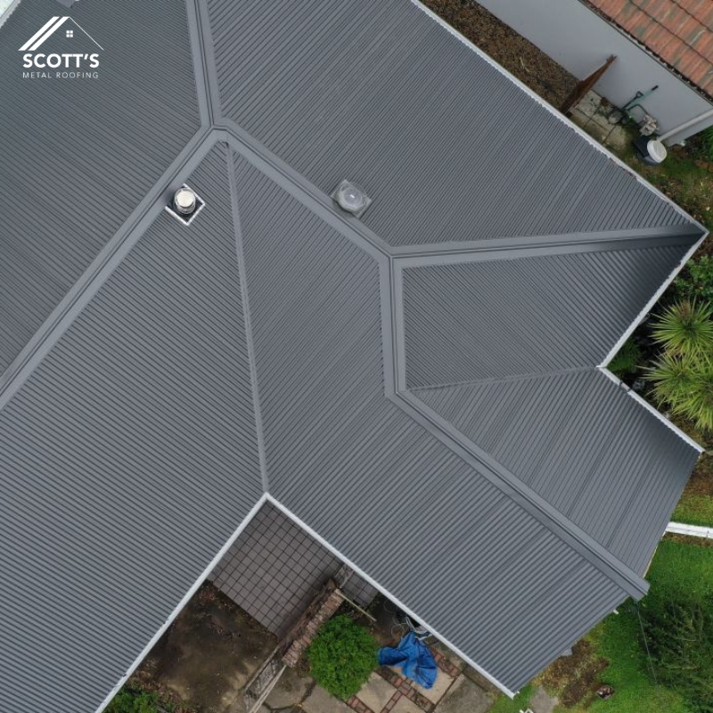 Metal roofing in Leonay with a sleek, durable finish, surrounded by a few trees under it.
